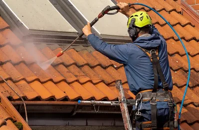 Démoussage et hydrofuge de toiture à Vieilmoulin
